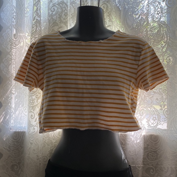 Zara stretch cotton crop top-Large - Picture 6 of 6